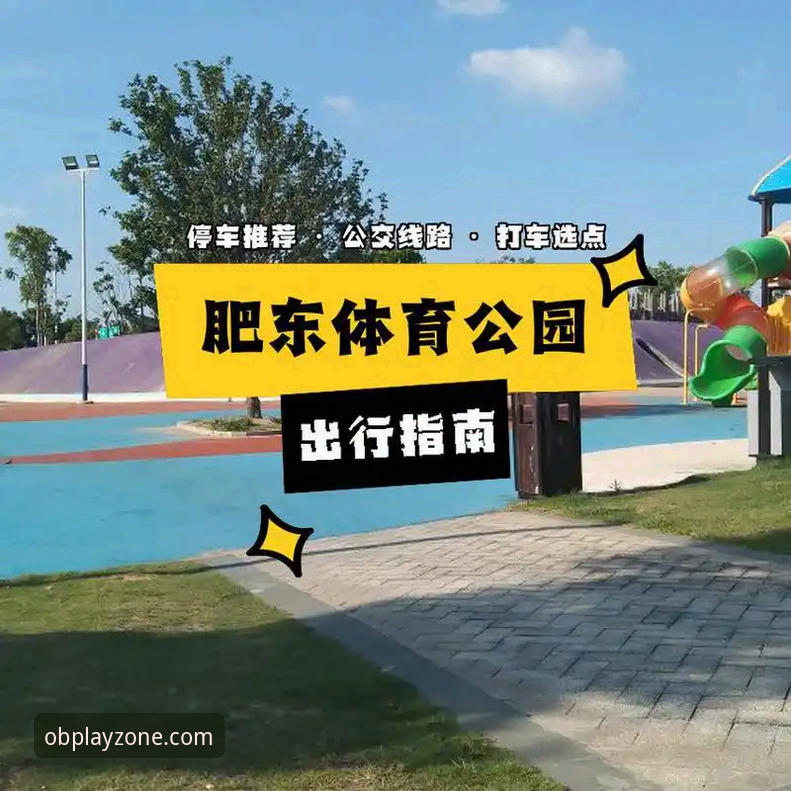 OB体育官网登录 OB体育平台登录入口详解:从下载到使用的完整指南